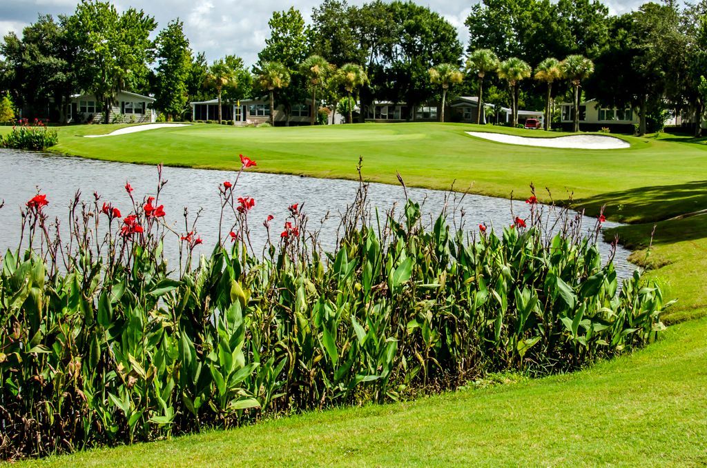 Flowers on golf course green
